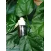 Ароматизатор Paco Rabanne Black XS Pour Femme 12мл